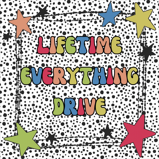Lifetime EVERYTHING drive
